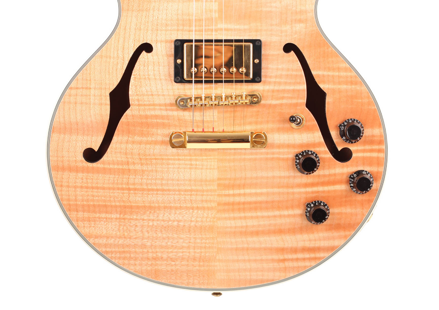 Gibson CS365 05102016 12