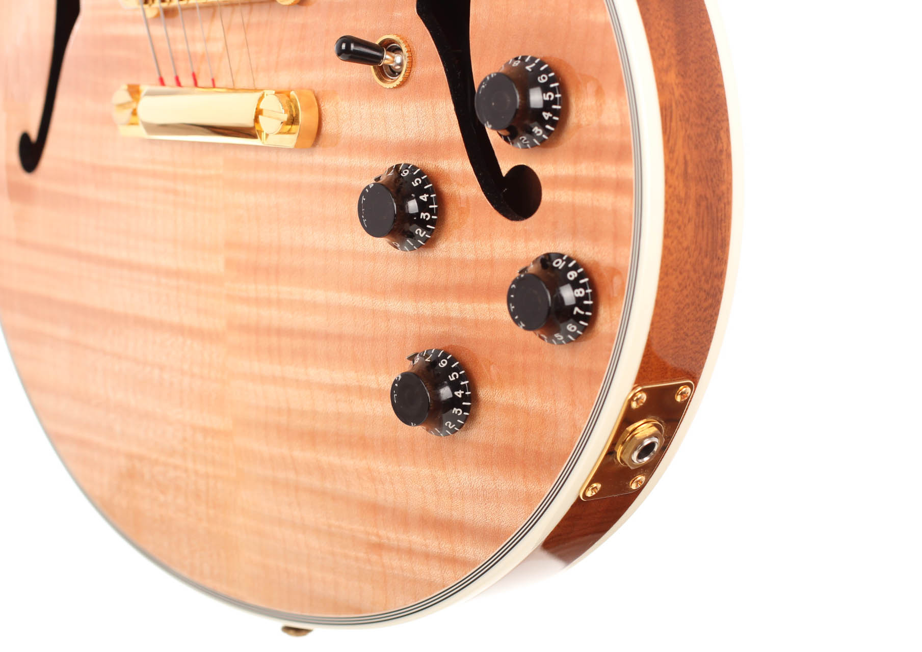 Gibson CS365 05102016 9