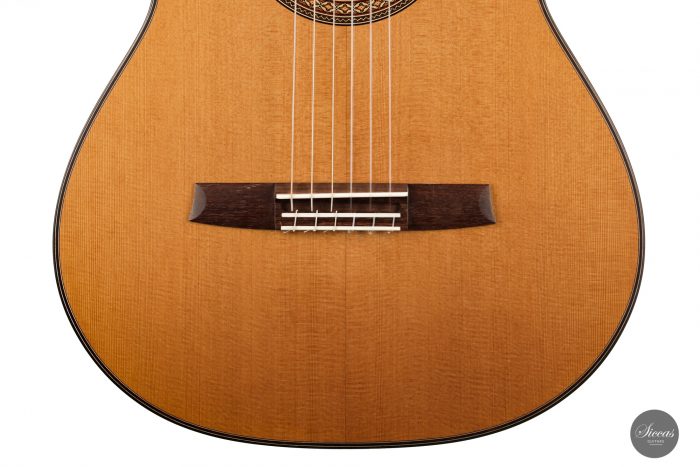 Classical guitar Armin Hanika 2021 6