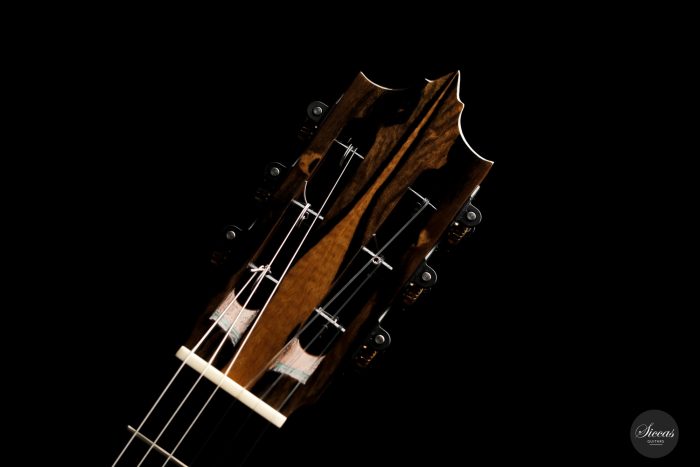 Classical guitar José Marques 2021 20