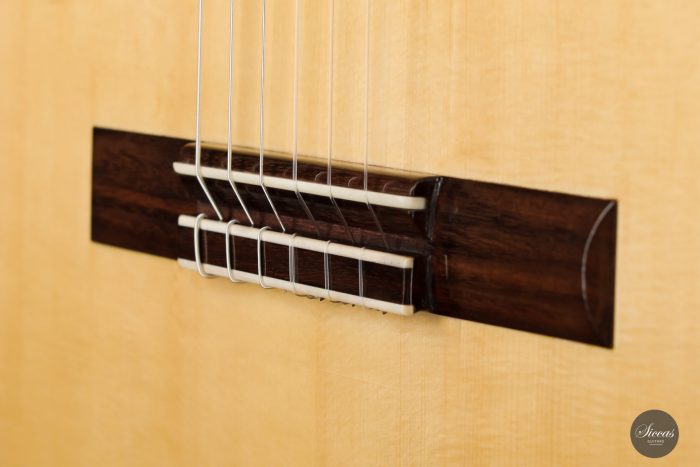 Classical guitar Ángel Gómez de Guillén 2020 8