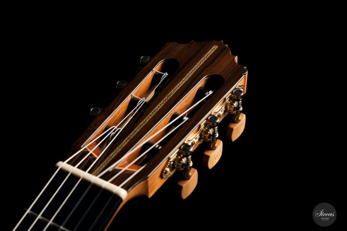Classical guitar Gabor Horvath 2020 15