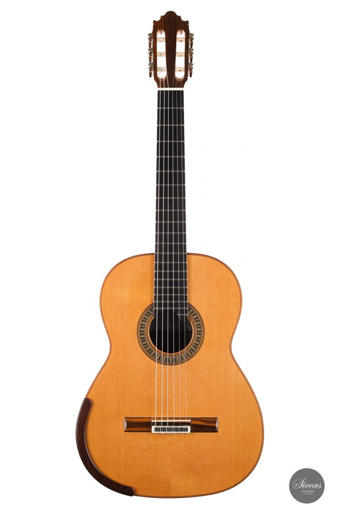 Classical guitar Vicente Carrillo 2021 110