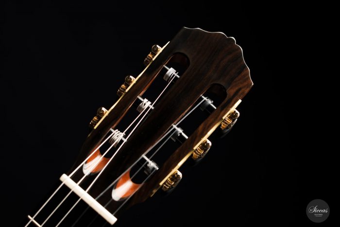 Classical guitar Wolfgang Jellingahus Segovia 2021 15