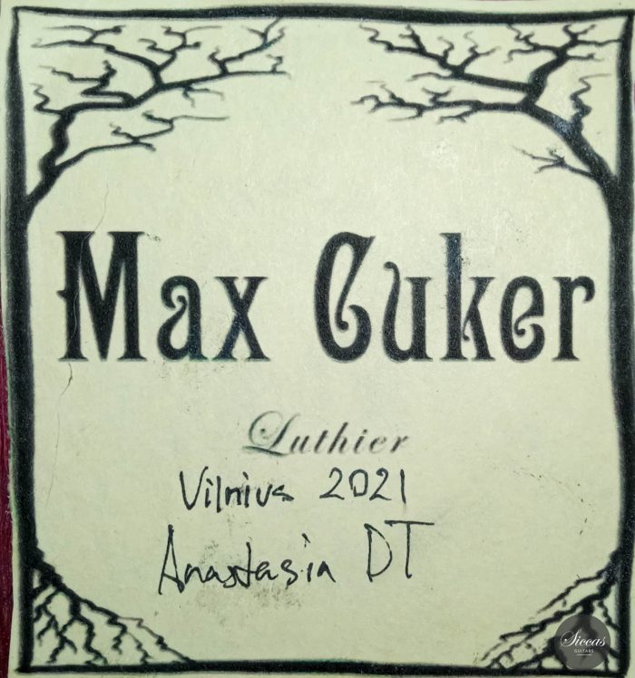 Max Cuker Doubletop Guitar 2021 1