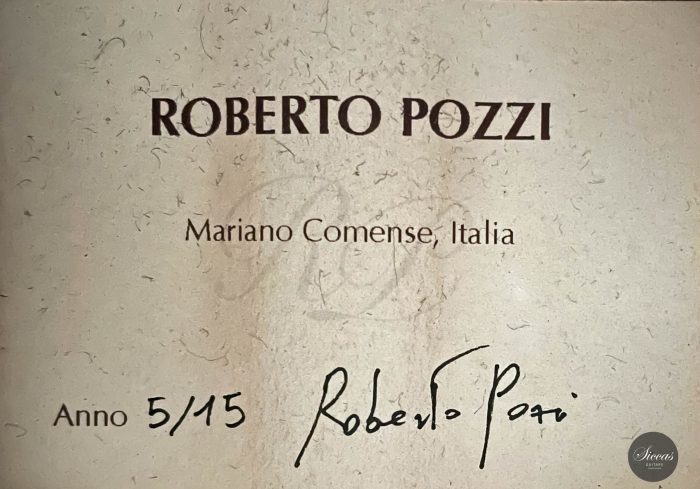 Roberto Pozzi 2015 8 string 30