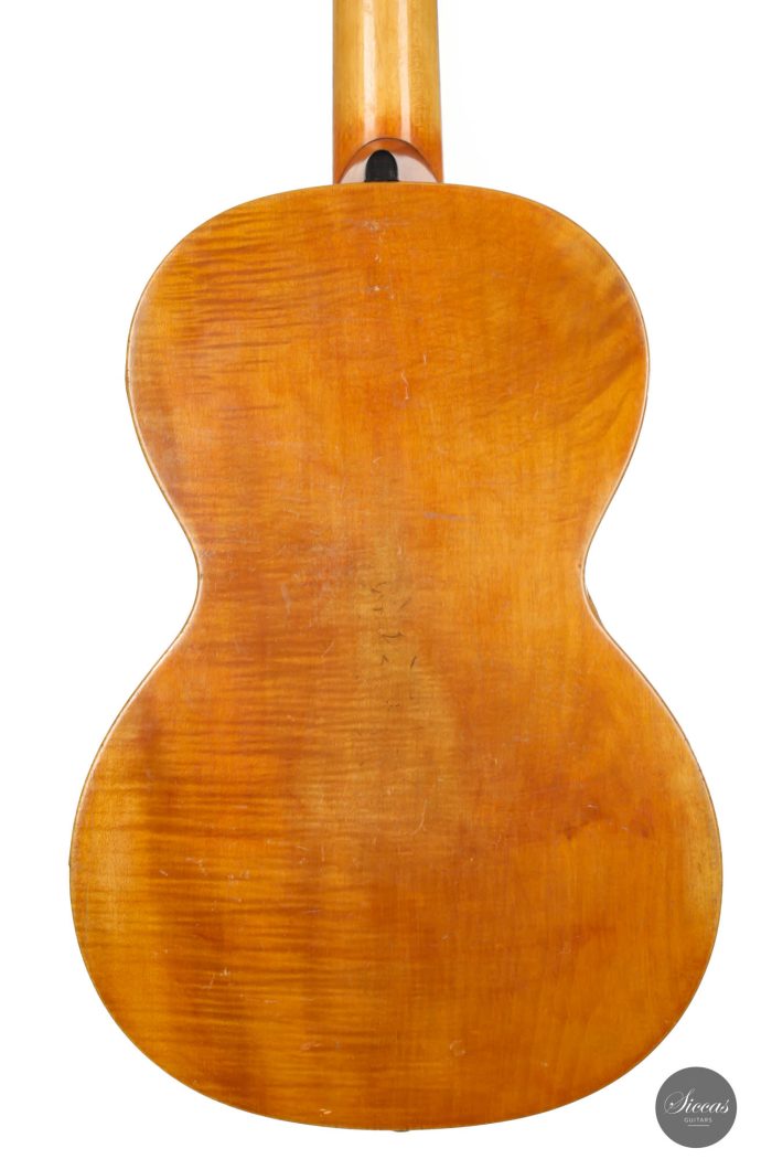 Braun Hauser guitar 24