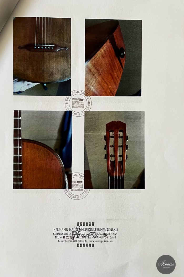 Braun Hauser guitar 42