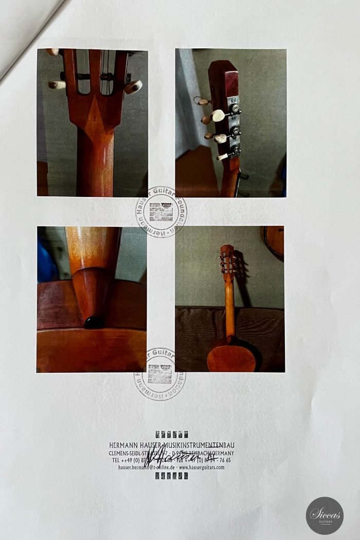 Braun Hauser guitar 43