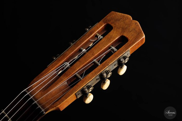 Braun Hauser guitar 5