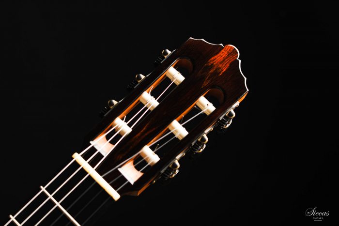 Classical guitar Dietmar Heubner 2020 16