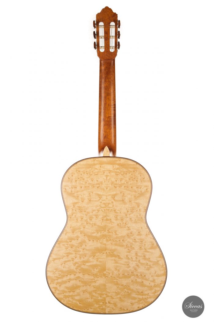 Classical guitar Andrés D. Marvi 2020 10