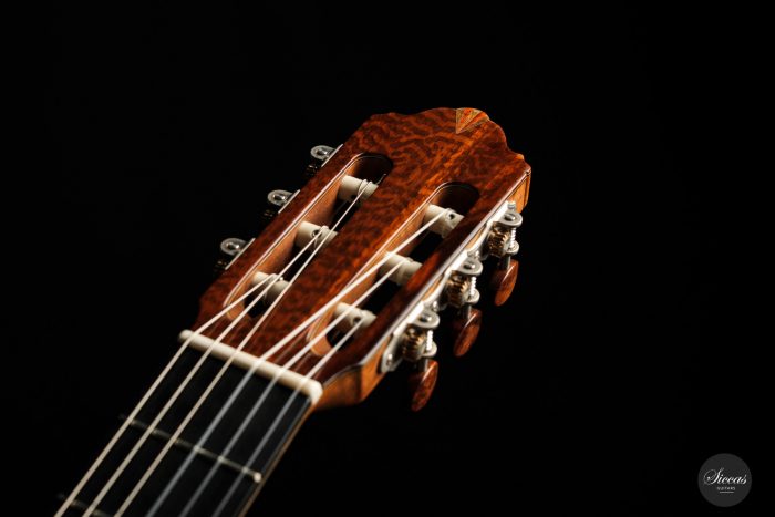 Classical guitar Andrés D. Marvi 2020 18