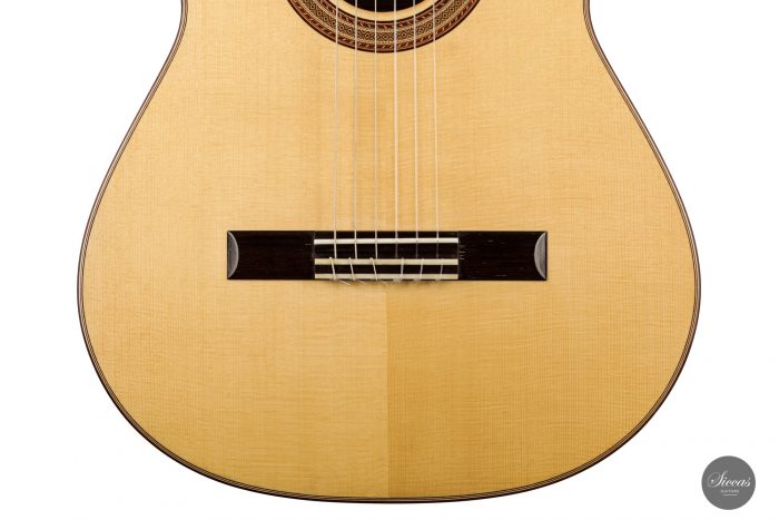 Classical guitar Andrés D. Marvi 2020 7