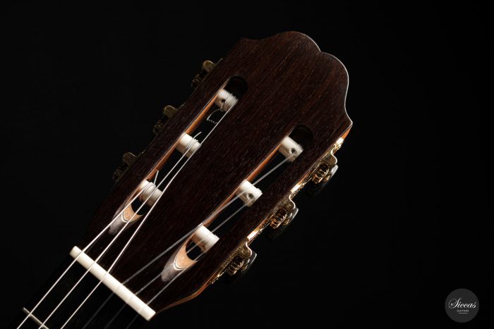 Classical guitar Eriberto Ajevoli 2020 16