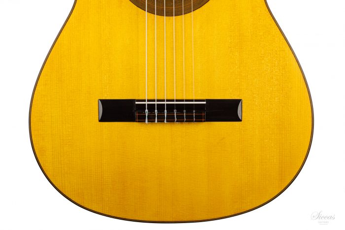 Classical guitar Francesco De Gregorio 2020 7