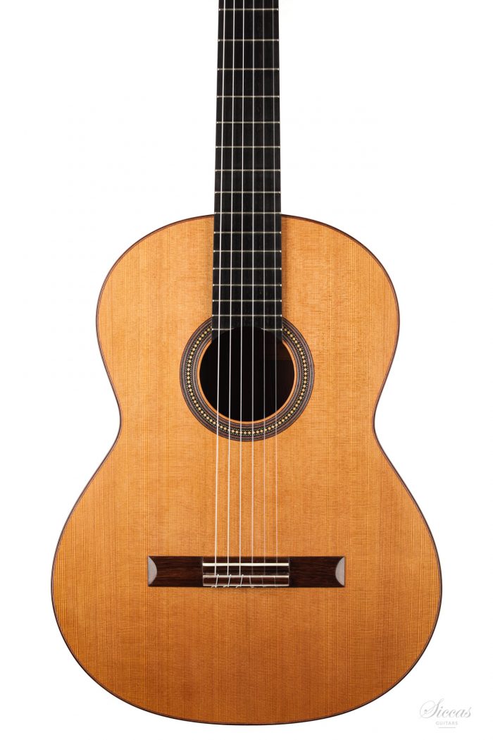 Classical guitar Francois Regis Leonard 2020 2
