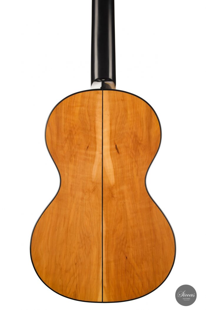 Classical guitar Martin Okencia 2020 10