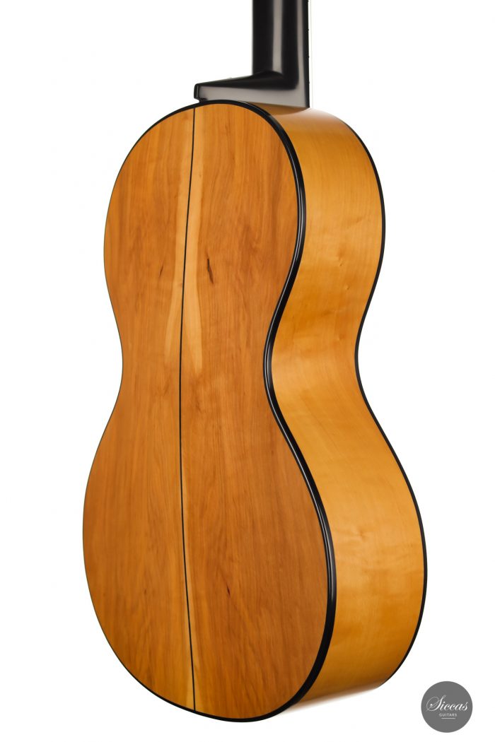 Classical guitar Martin Okencia 2020 11