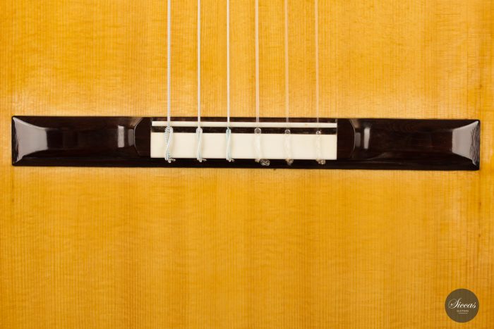 Classical guitar Fritz Ober 2011 5